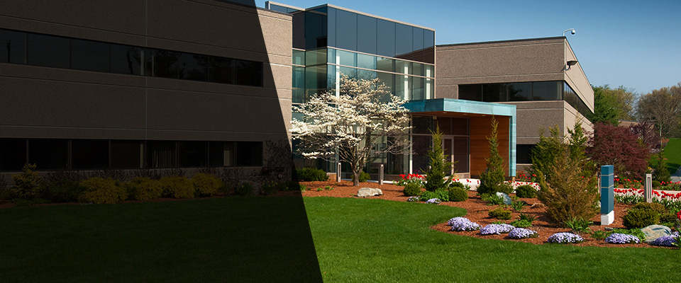 Orwigsburg Landscapers