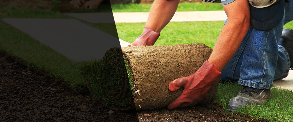 Orwigsburg Landscapers